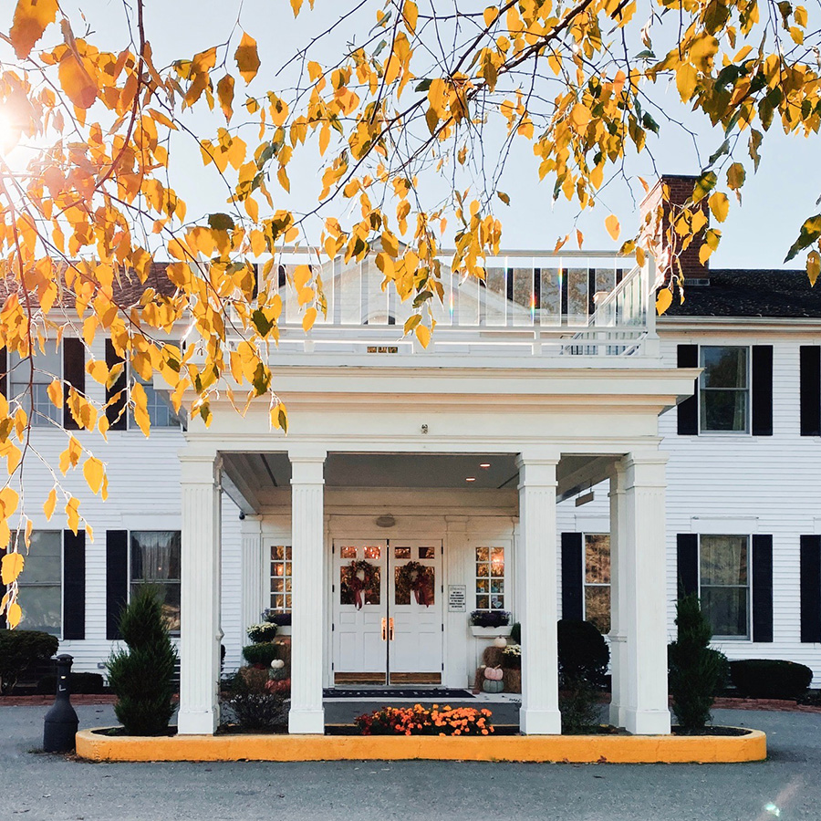 PetFriendly Places in the Litchfield Hills CTvisit